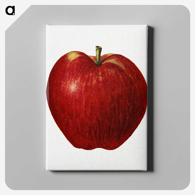 2-41_USDA-Watercolor-Fruit-Painting-Collection_canvas