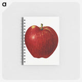 2-41_USDA-Watercolor-Fruit-Painting-Collection_memo