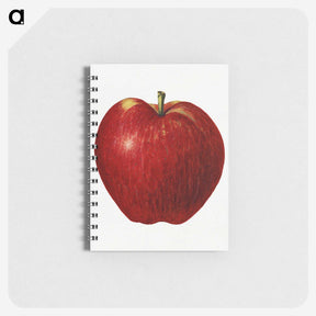 2-41_USDA-Watercolor-Fruit-Painting-Collection_memo