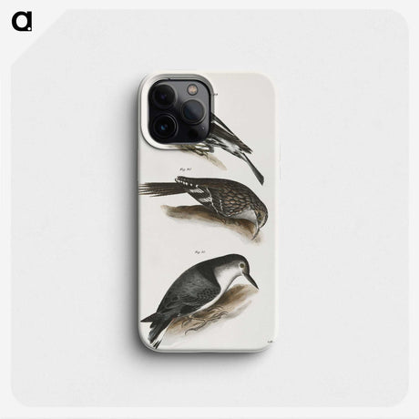 2-41_Zoology-of-New-York_phone