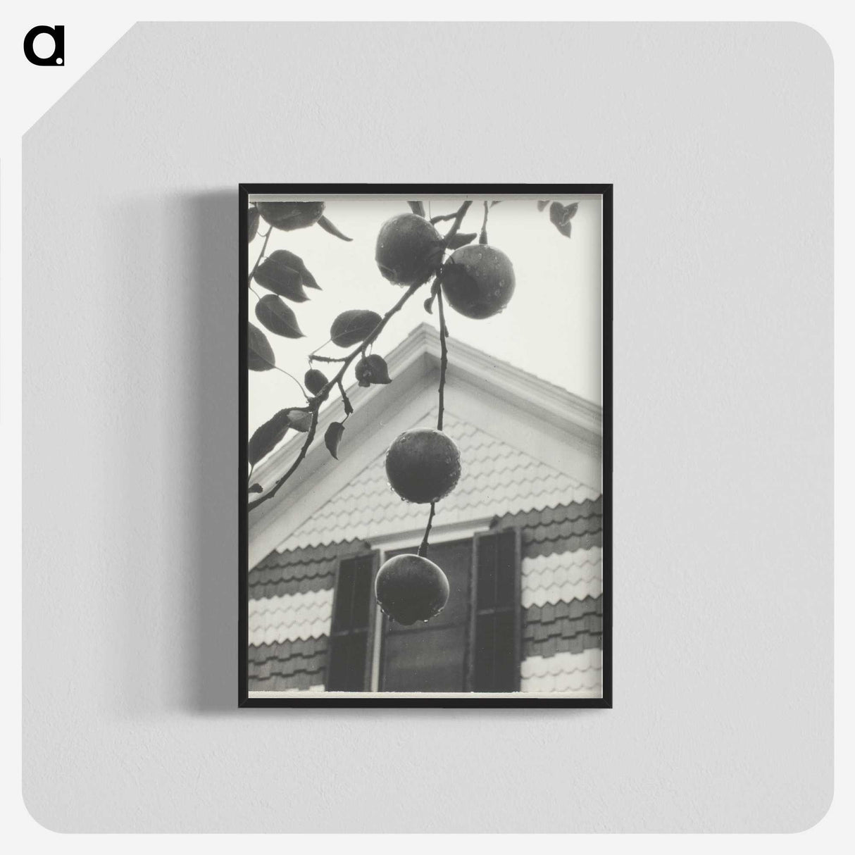 2-42_Alfred-Stieglitz_blk-crop