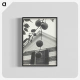 2-42_Alfred-Stieglitz_blk-crop