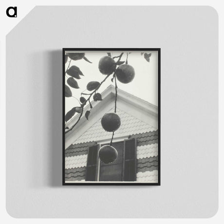 2-42_Alfred-Stieglitz_blk-crop
