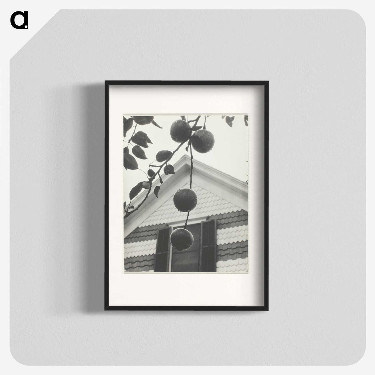 2-42_Alfred-Stieglitz_blk