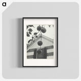 2-42_Alfred-Stieglitz_blk