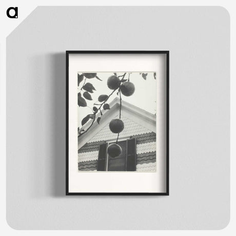 2-42_Alfred-Stieglitz_blk