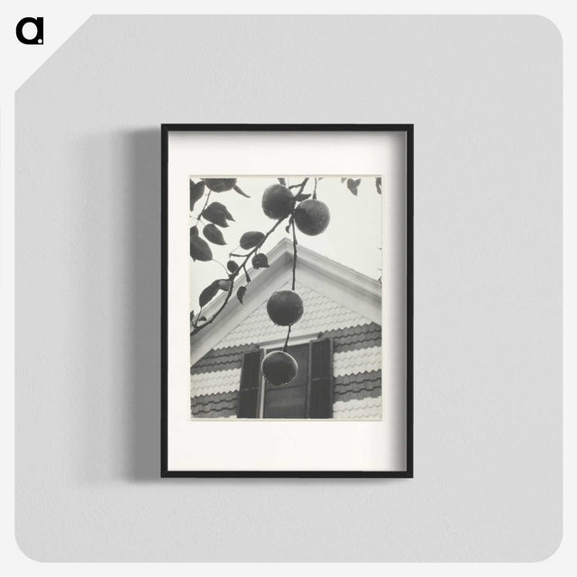 2-42_Alfred-Stieglitz_blk