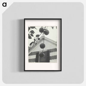 アートポスター-Gable and Apples - アルフレッド スティーグリッツ Poster.