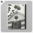 2-42_Alfred-Stieglitz_canvas
