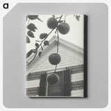 2-42_Alfred-Stieglitz_canvas