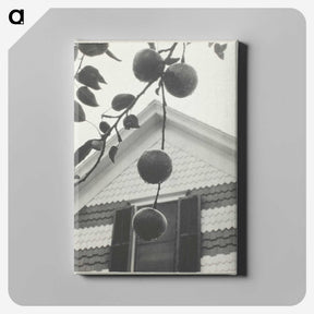 2-42_Alfred-Stieglitz_canvas