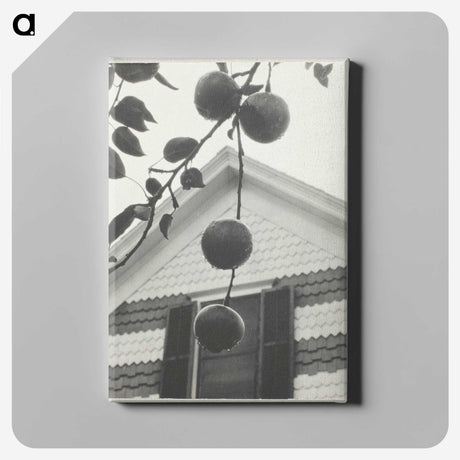 2-42_Alfred-Stieglitz_canvas