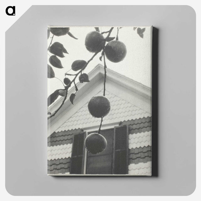 2-42_Alfred-Stieglitz_canvas