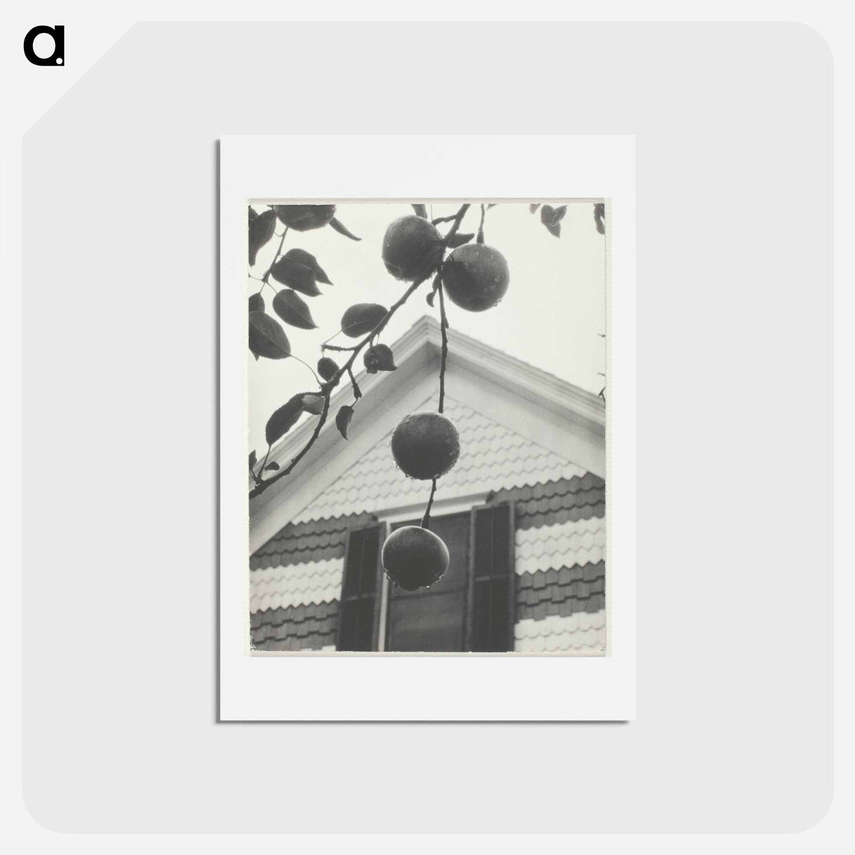 アートポストカード-Gable and Apples - アルフレッド スティーグリッツ Postcard.