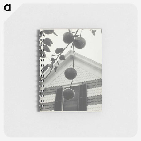 2-42_Alfred-Stieglitz_memo