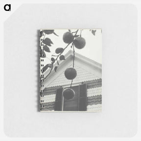 アートメモ帳-Gable and Apples - アルフレッド スティーグリッツ Memo.