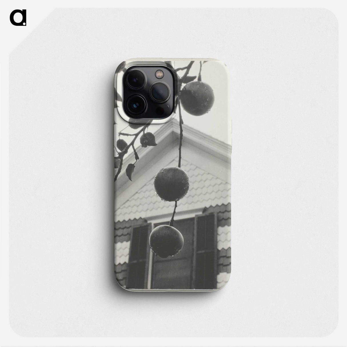 2-42_Alfred-Stieglitz_phone