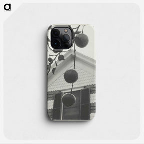 2-42_Alfred-Stieglitz_phone