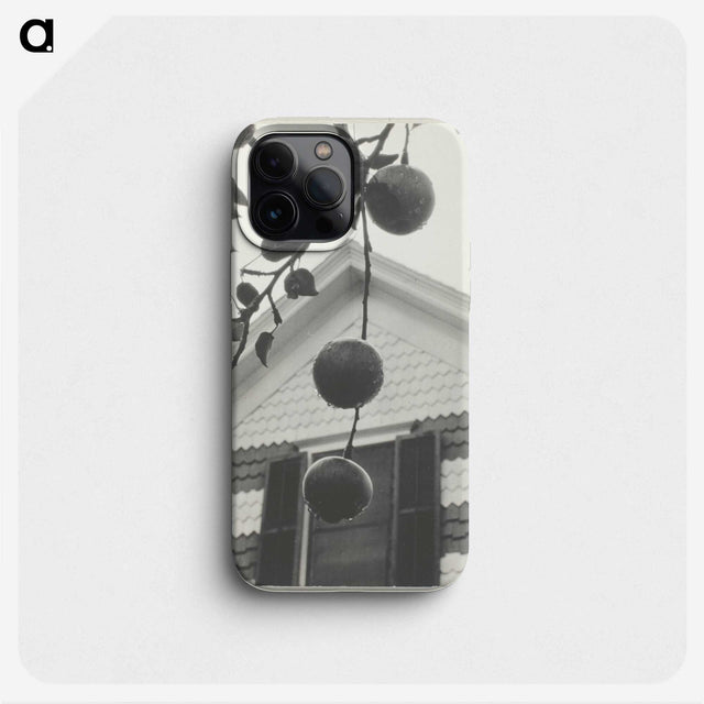 2-42_Alfred-Stieglitz_phone