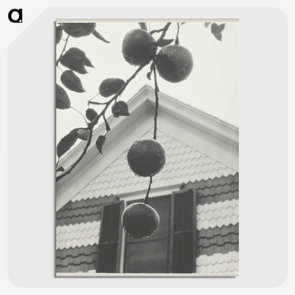2-42_Alfred-Stieglitz_picture-crop