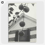 2-42_Alfred-Stieglitz_picture-crop