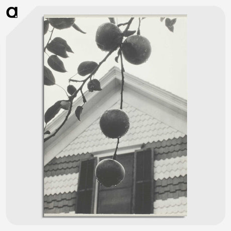 2-42_Alfred-Stieglitz_picture-crop