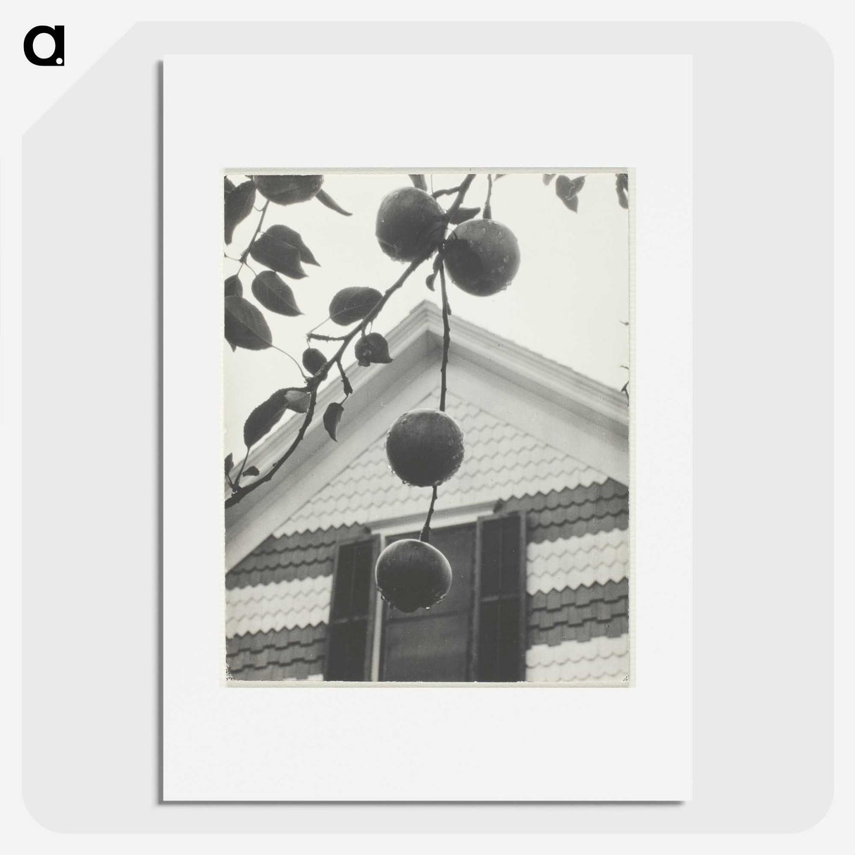 2-42_Alfred-Stieglitz_picture