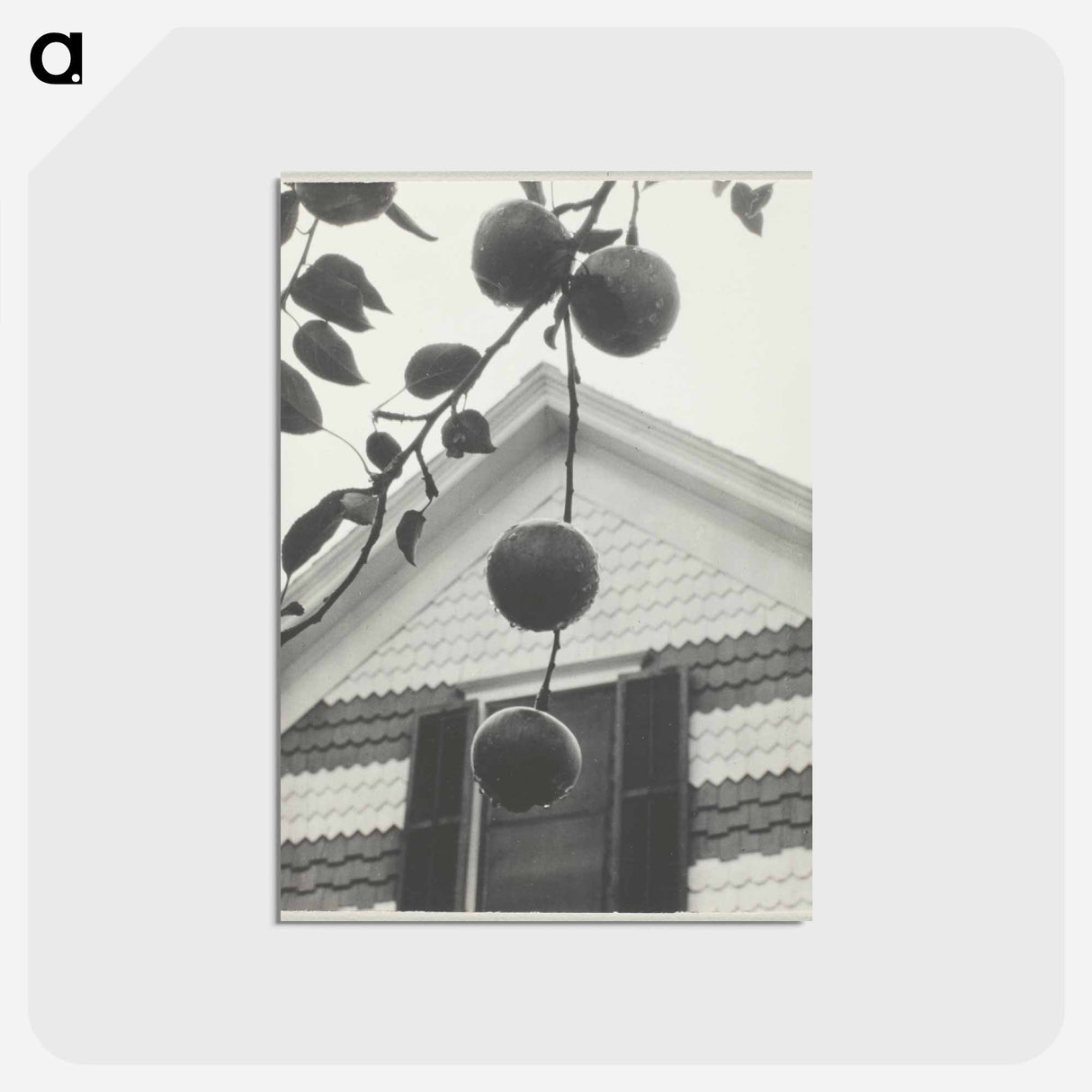 アートポストカード-Gable and Apples - アルフレッド スティーグリッツ Postcard.