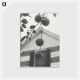 アートポストカード-Gable and Apples - アルフレッド スティーグリッツ Postcard.