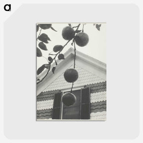 2-42_Alfred-Stieglitz_postcard