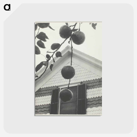 アートポストカード-Gable and Apples - アルフレッド スティーグリッツ Postcard.