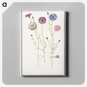 2-42_Anselmus-Boetius-de-Boodt_canvas