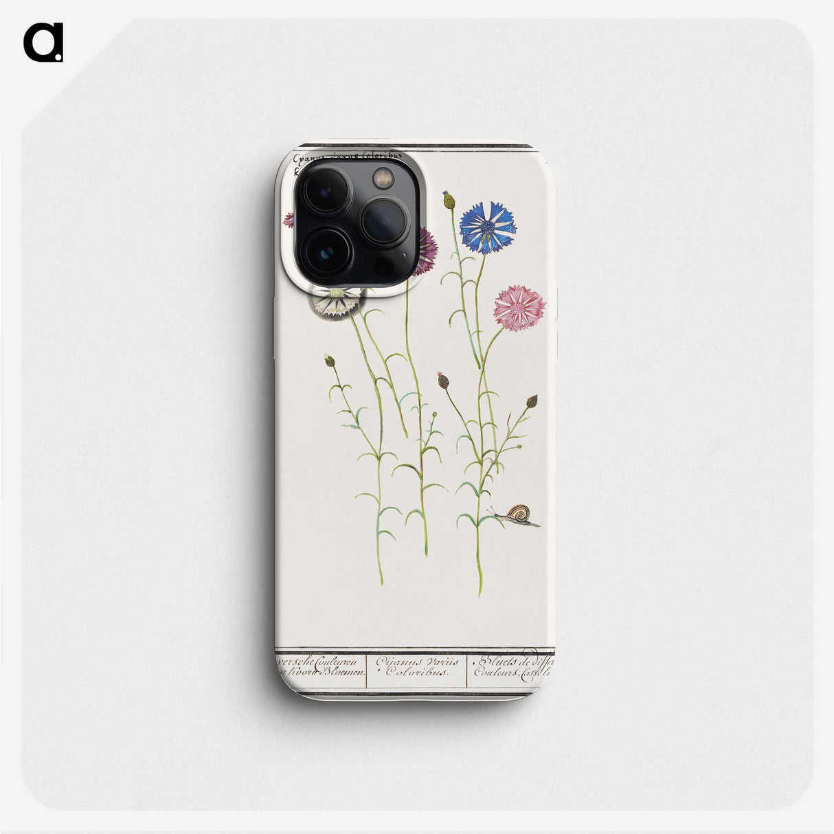 2-42_Anselmus-Boetius-de-Boodt_phone