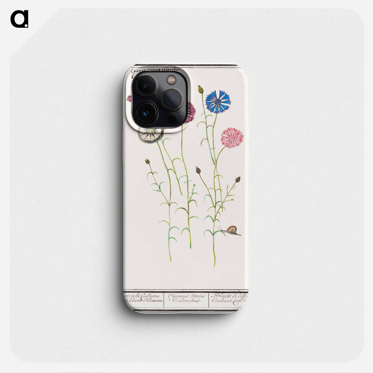 Cornflower - アンセルムス ボエティウス デ ブート Phone Case.