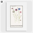 2-42_Anselmus-Boetius-de-Boodt_picture