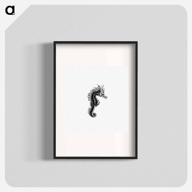 アートポスター-Seahorse from The Zoological Miscellany
 - 大英図書館 Poster.