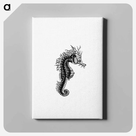 アートパネル-Seahorse from The Zoological Miscellany
 - 大英図書館 Canvas.