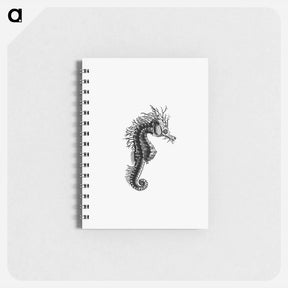 アートメモ帳-Seahorse from The Zoological Miscellany
 - 大英図書館 Memo.