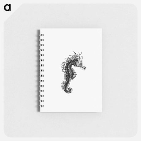 アートメモ帳-Seahorse from The Zoological Miscellany
 - 大英図書館 Memo.
