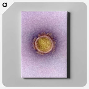 2-42_COVID-19_canvas