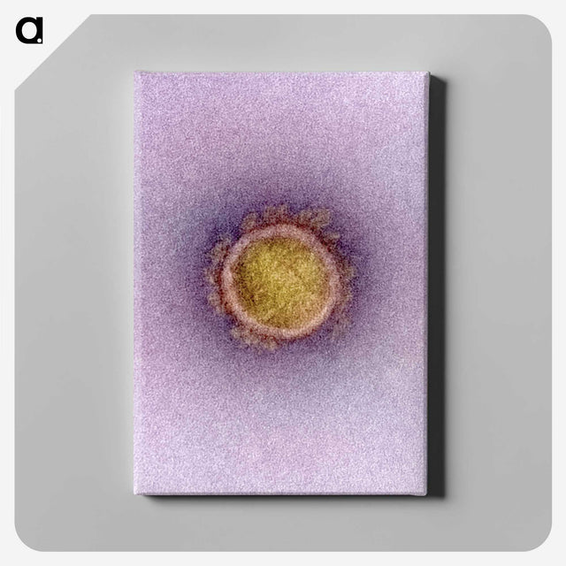 2-42_COVID-19_canvas