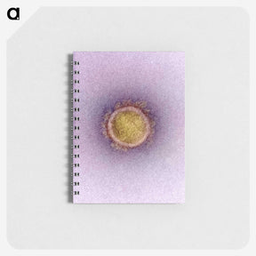 2-42_COVID-19_memo