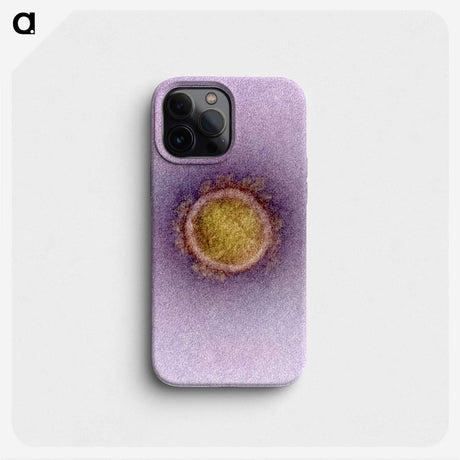 2-42_COVID-19_phone