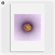 2-42_COVID-19_picture