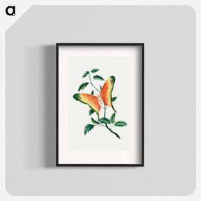 アートポスター-Rose Bush and Butterfly
 - クリーブランド美術館 Poster.