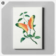 アートパネル-Rose Bush and Butterfly
 - クリーブランド美術館 Canvas.