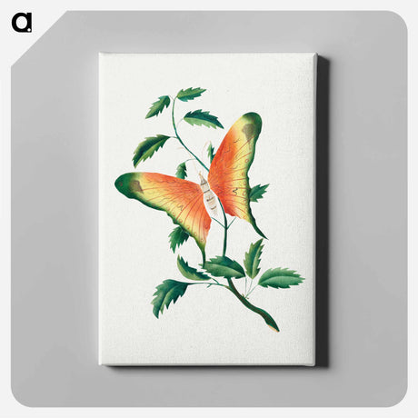 アートパネル-Rose Bush and Butterfly
 - クリーブランド美術館 Canvas.