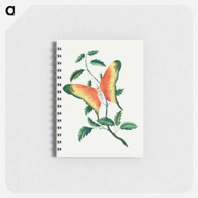 アートメモ帳-Rose Bush and Butterfly
 - クリーブランド美術館 Memo.