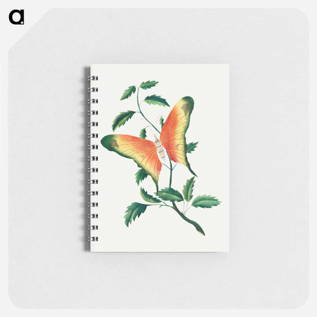 アートメモ帳-Rose Bush and Butterfly
 - クリーブランド美術館 Memo.