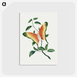 2-42_Cleveland-Museum-of-Art_postcard